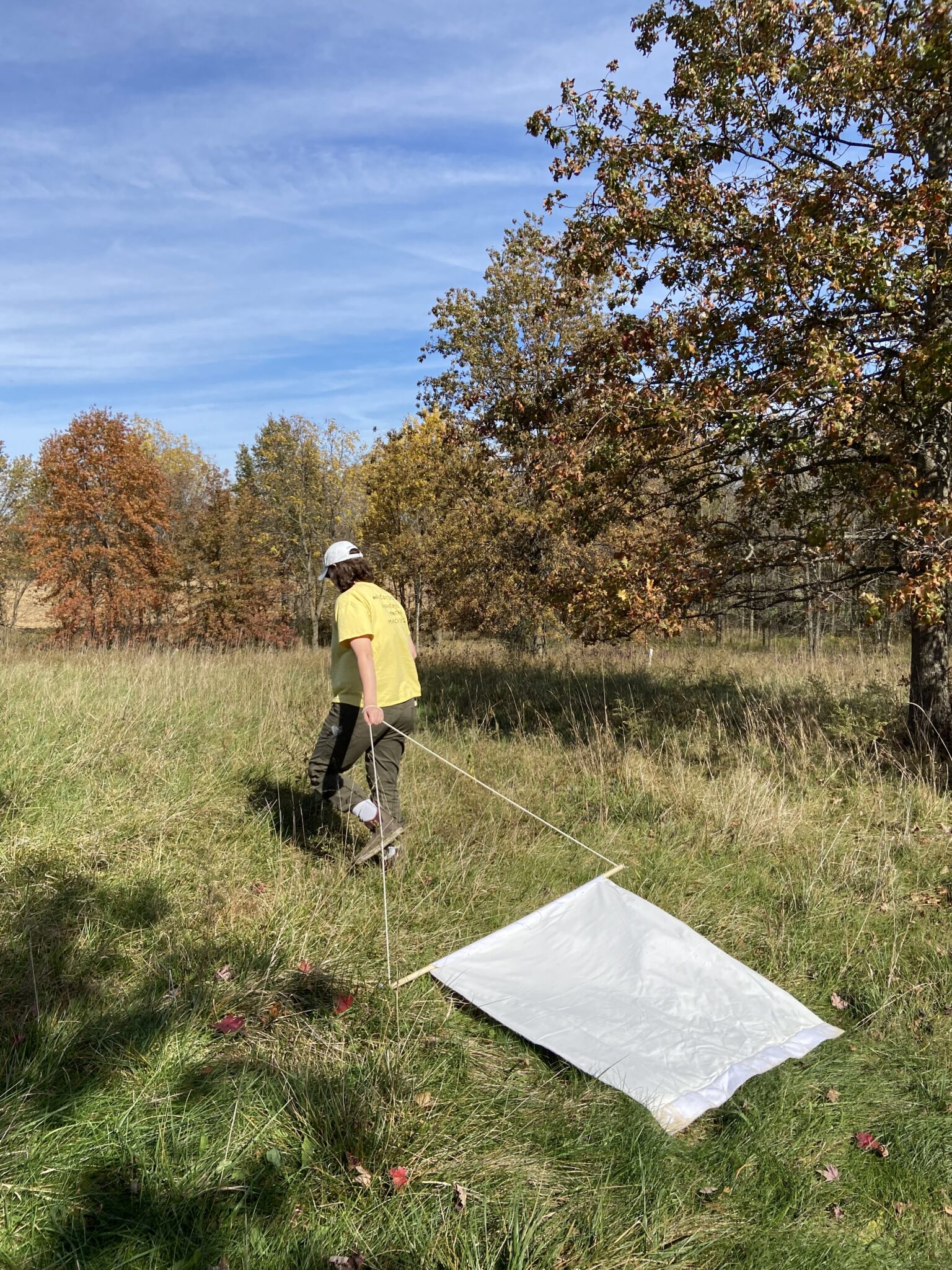 Wcph Conducting Tick Dragging In County To Monitor Populations Wyandot County Public Health